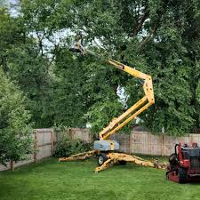 Best Tree Mulching  in Jonestown, PA